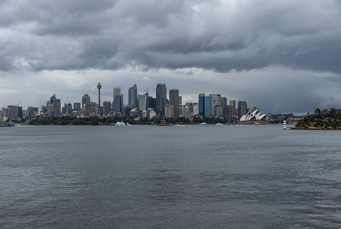 South Sydney from the Harbour
