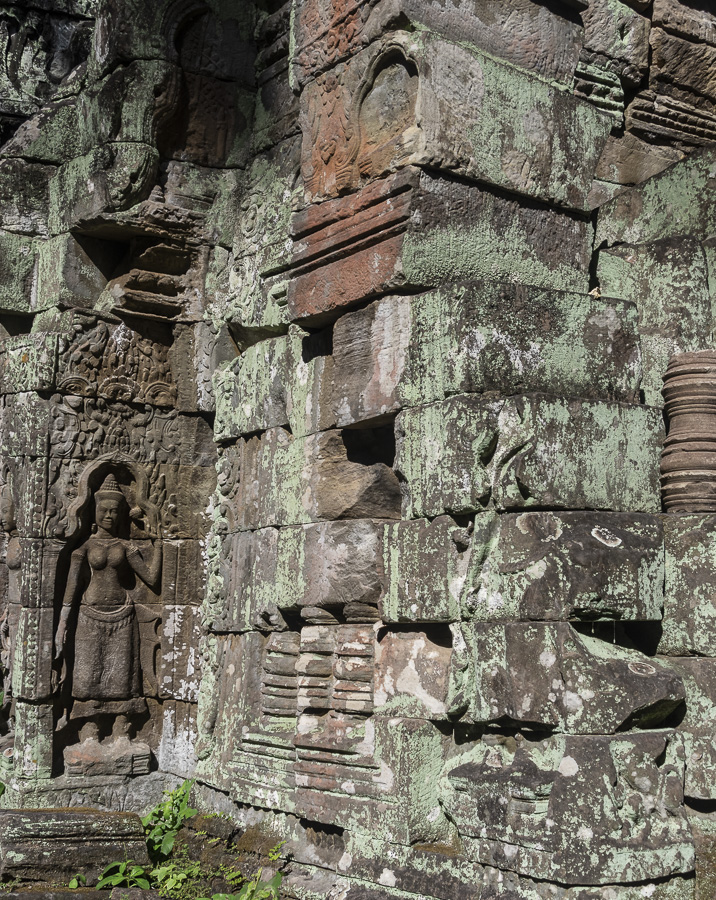 Ta Prohm Temple