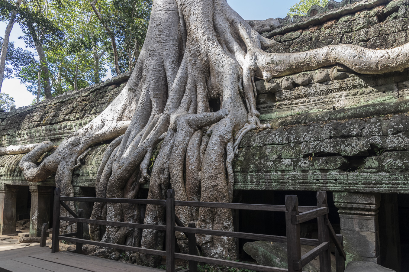 Ta Prohm Temple