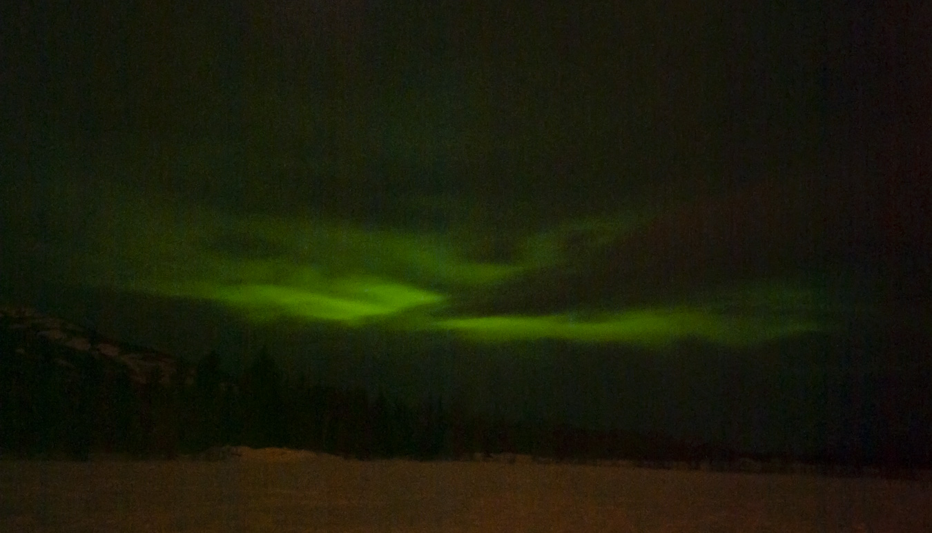 Northern Lights - White Horse