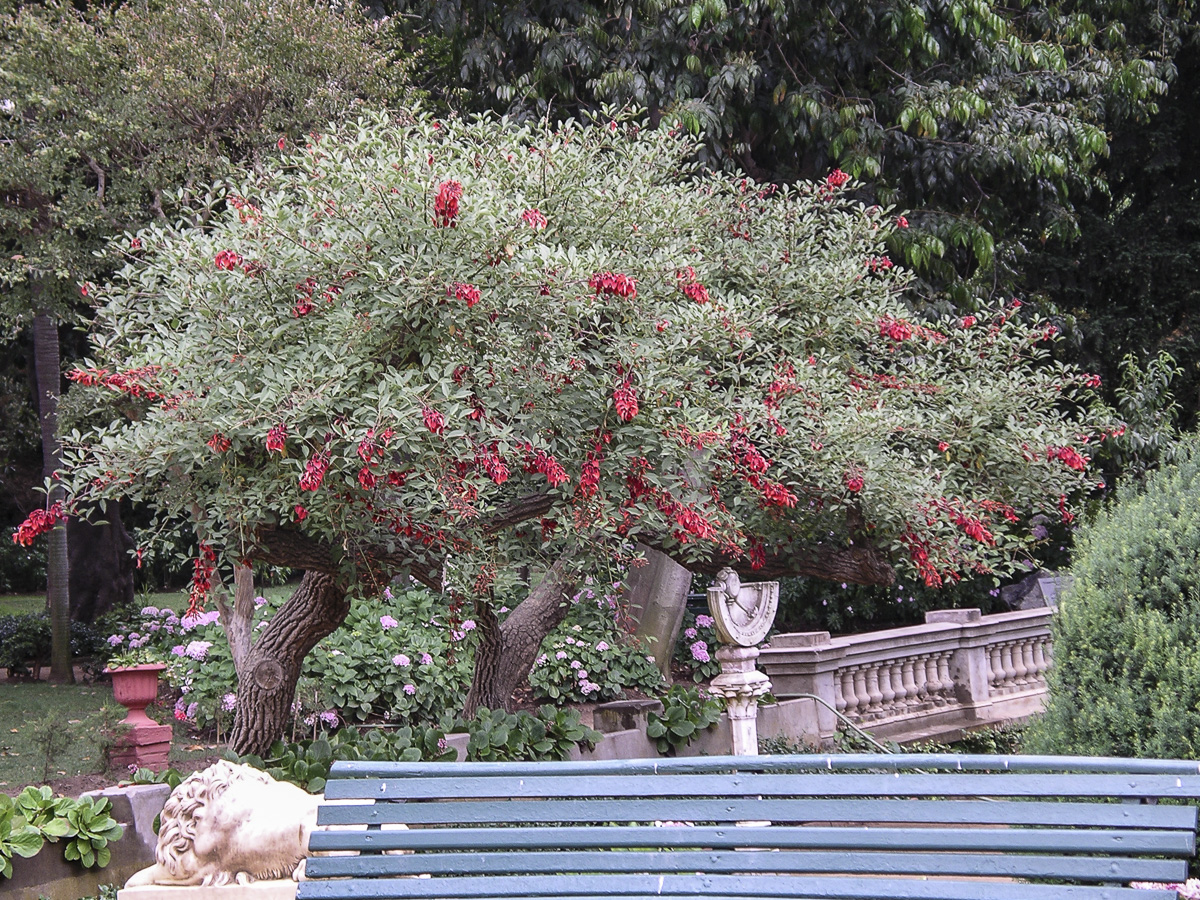 Ogden Gardens - Valparaiso