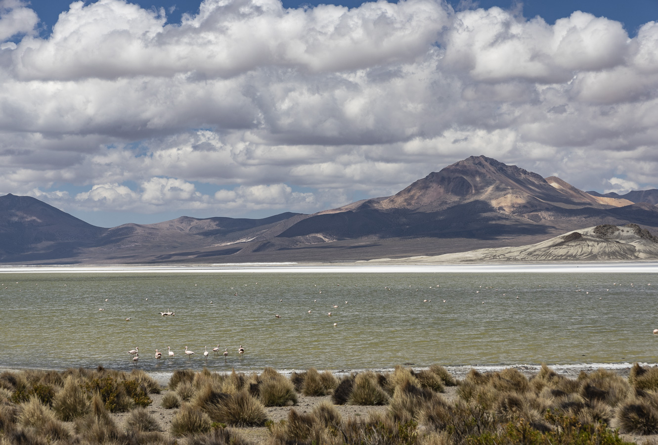 Salar de Surire - Lauca National Park
