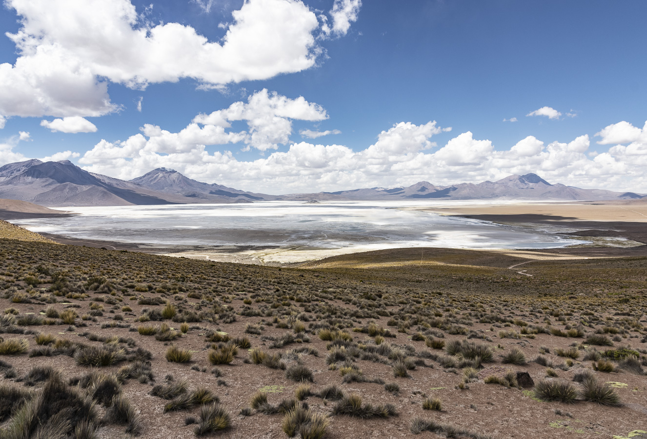 Salar de Surire - Lauca National Park