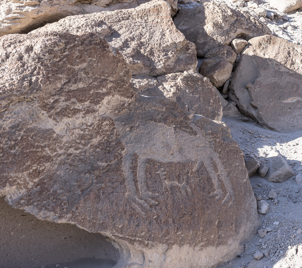 Petroglyphs near Codpa, Arica