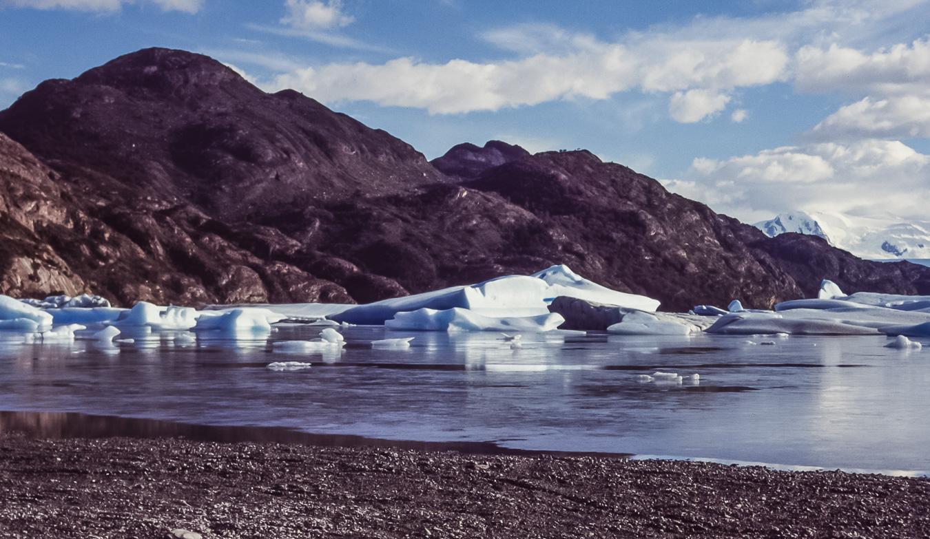 Lago Grey - Torres del Paine National Park