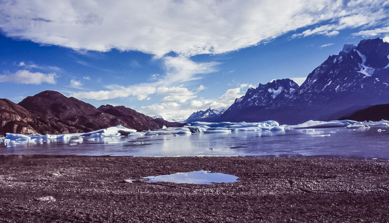 Lago Grey - Torres del Paine National Park