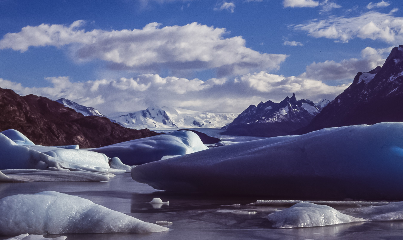 Lago Grey - Torres del Paine National Park