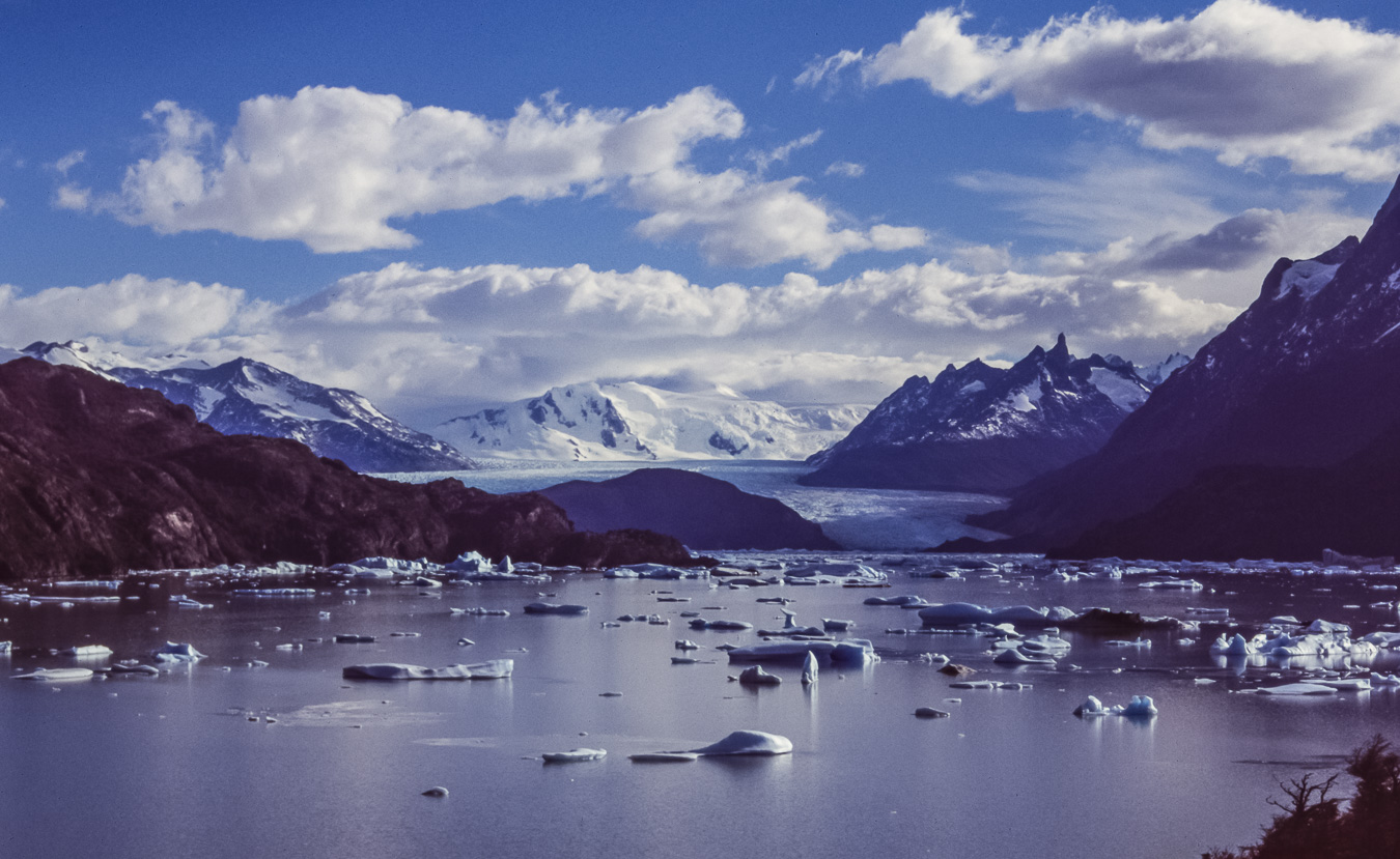 Lago Grey - Torres del Paine National Park