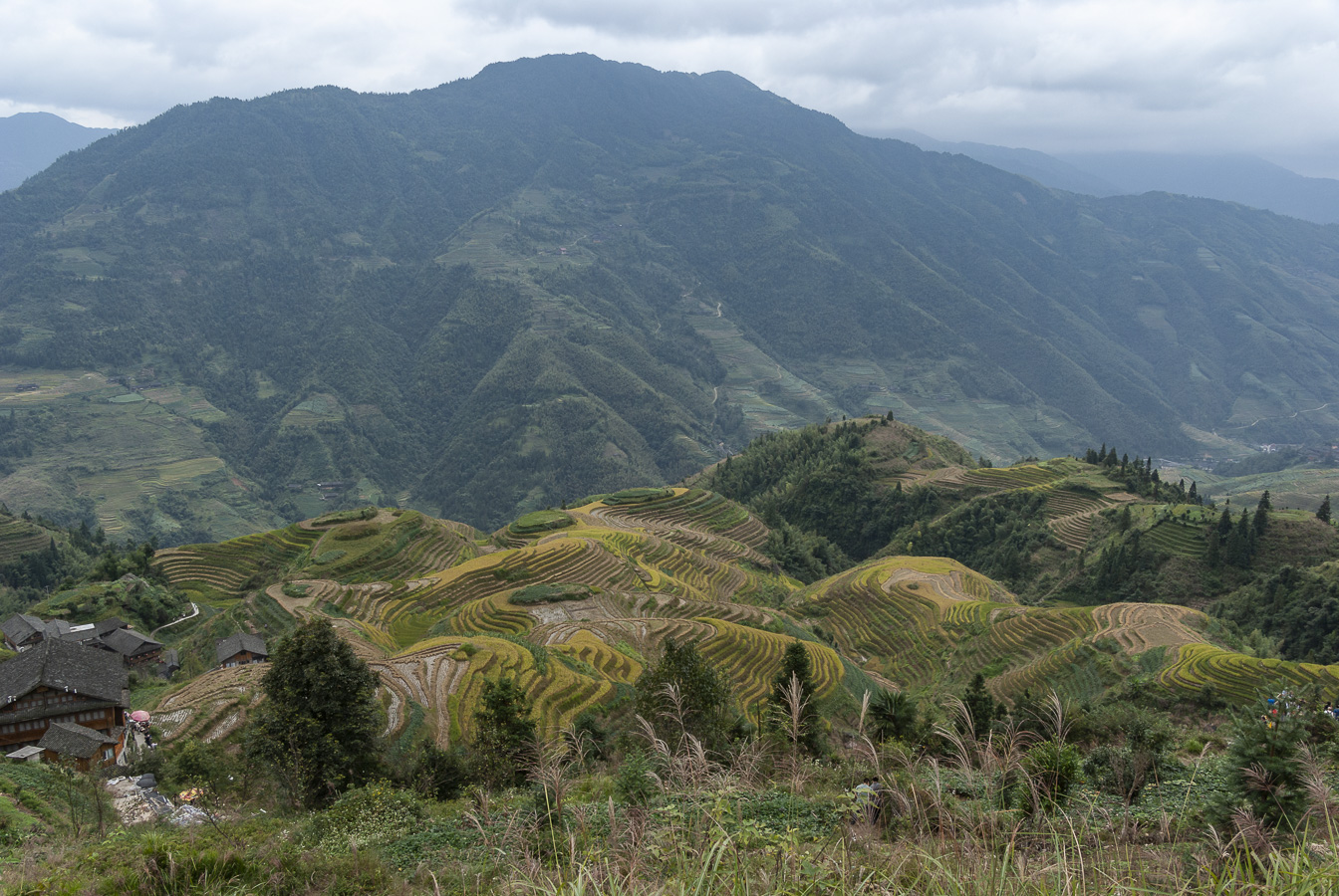 Dragon's Backbone Rice Terraces