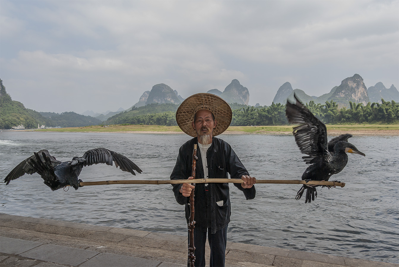 Cormorant Fishing - Li River