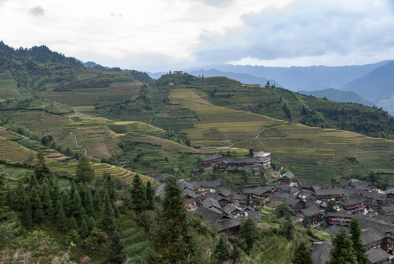 Dragon's Backbone Rice Terraces