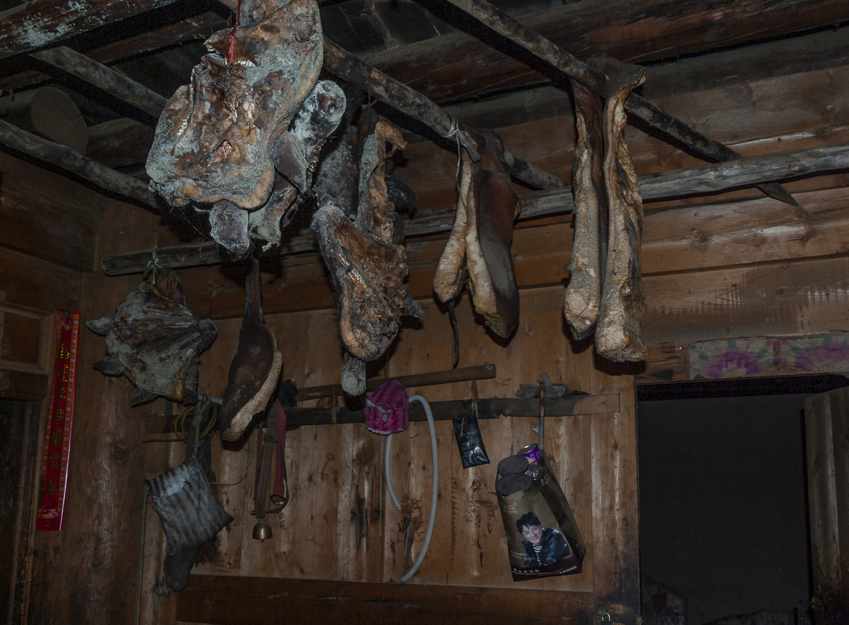 Local House near Nixi