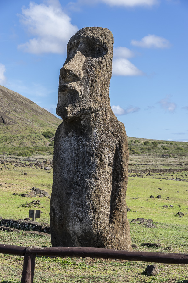 Moai - near Ahu Tangariki