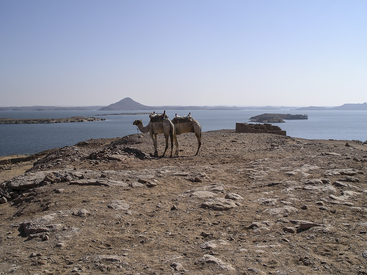 Local Transport near Temple of Dakka