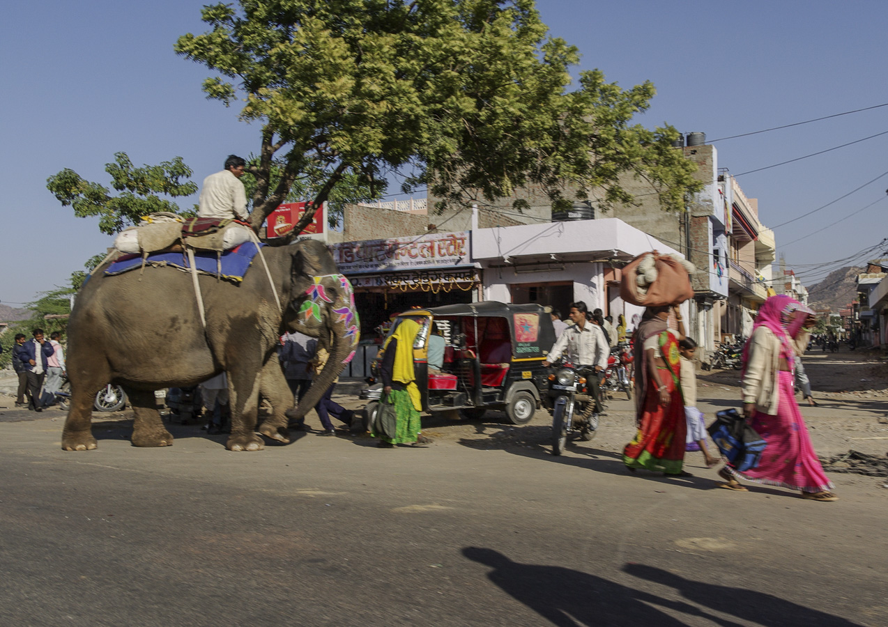 Roadside Jaipur from Agra