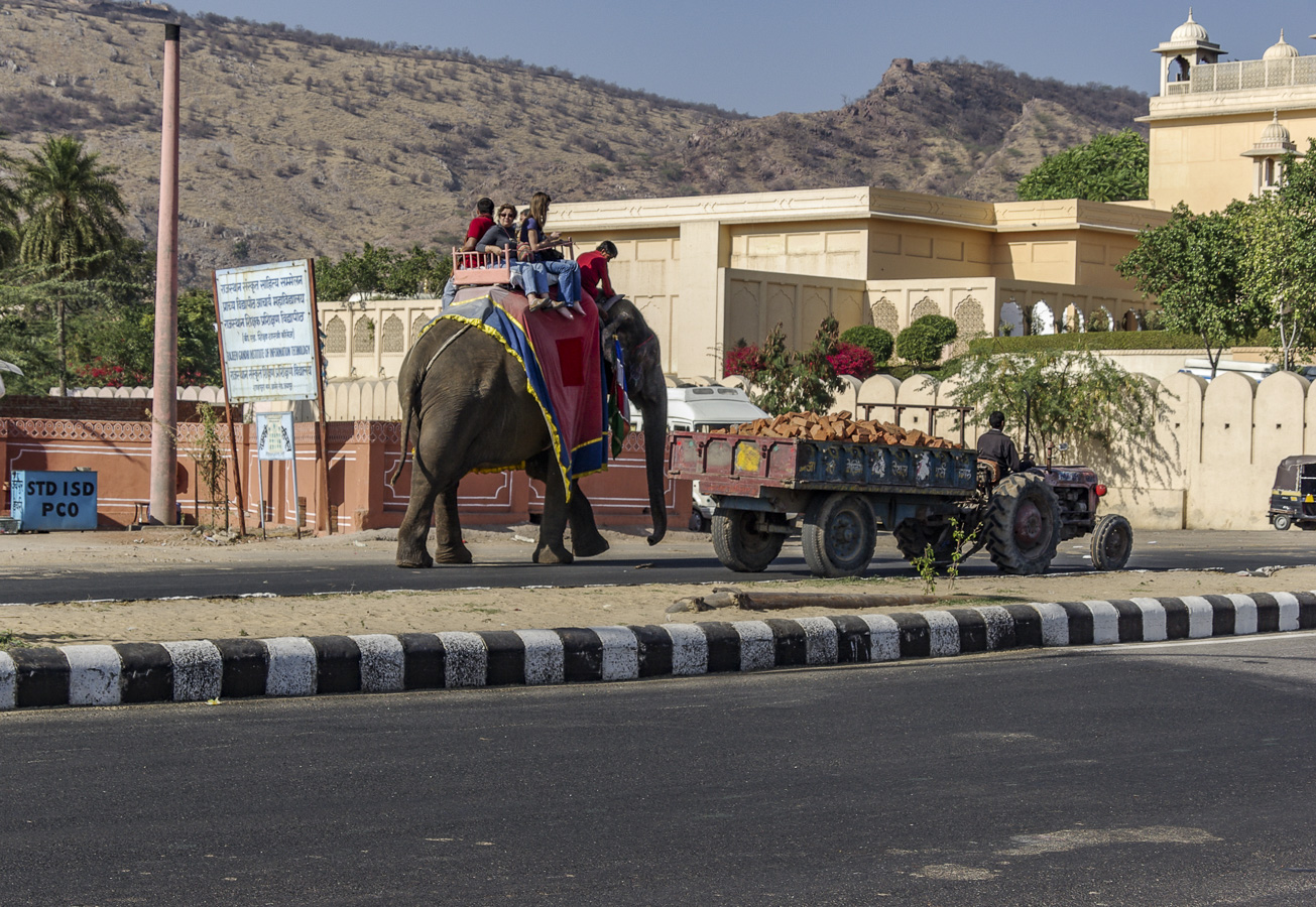 Local Transport - Jaipur