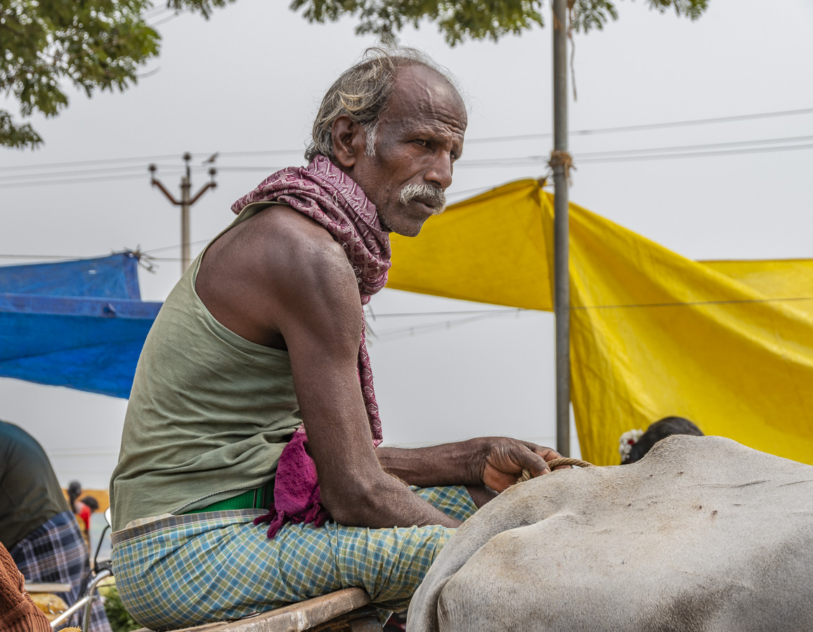 Ox Cart Driver near Kollidam Rive