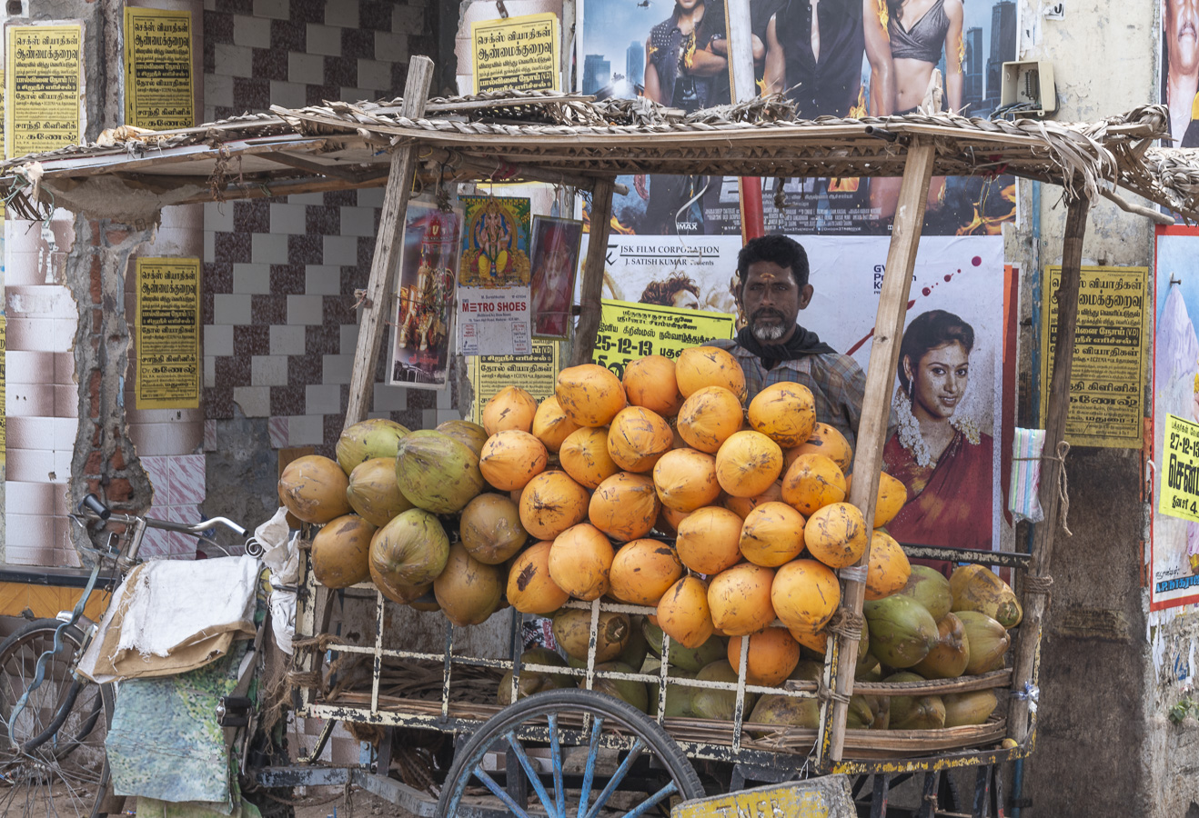 Coconut Vendor - Madurai