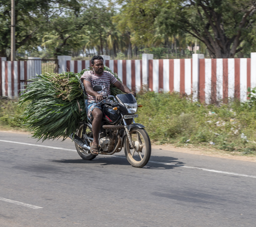 En Route Madurai to Thekkady