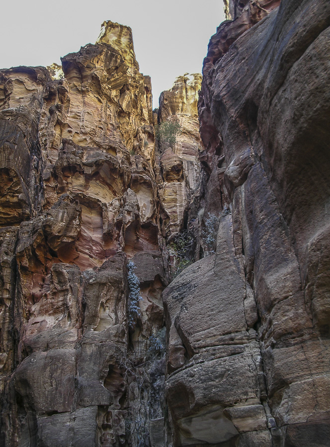 Al Siq - Approach to Petra