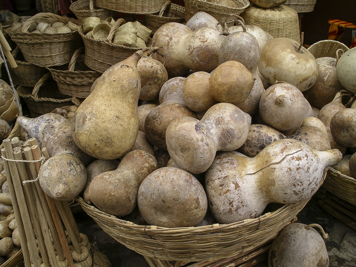Baskets and Gourds