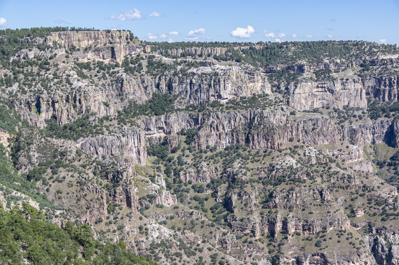 Copper Canyon from Divisadero
