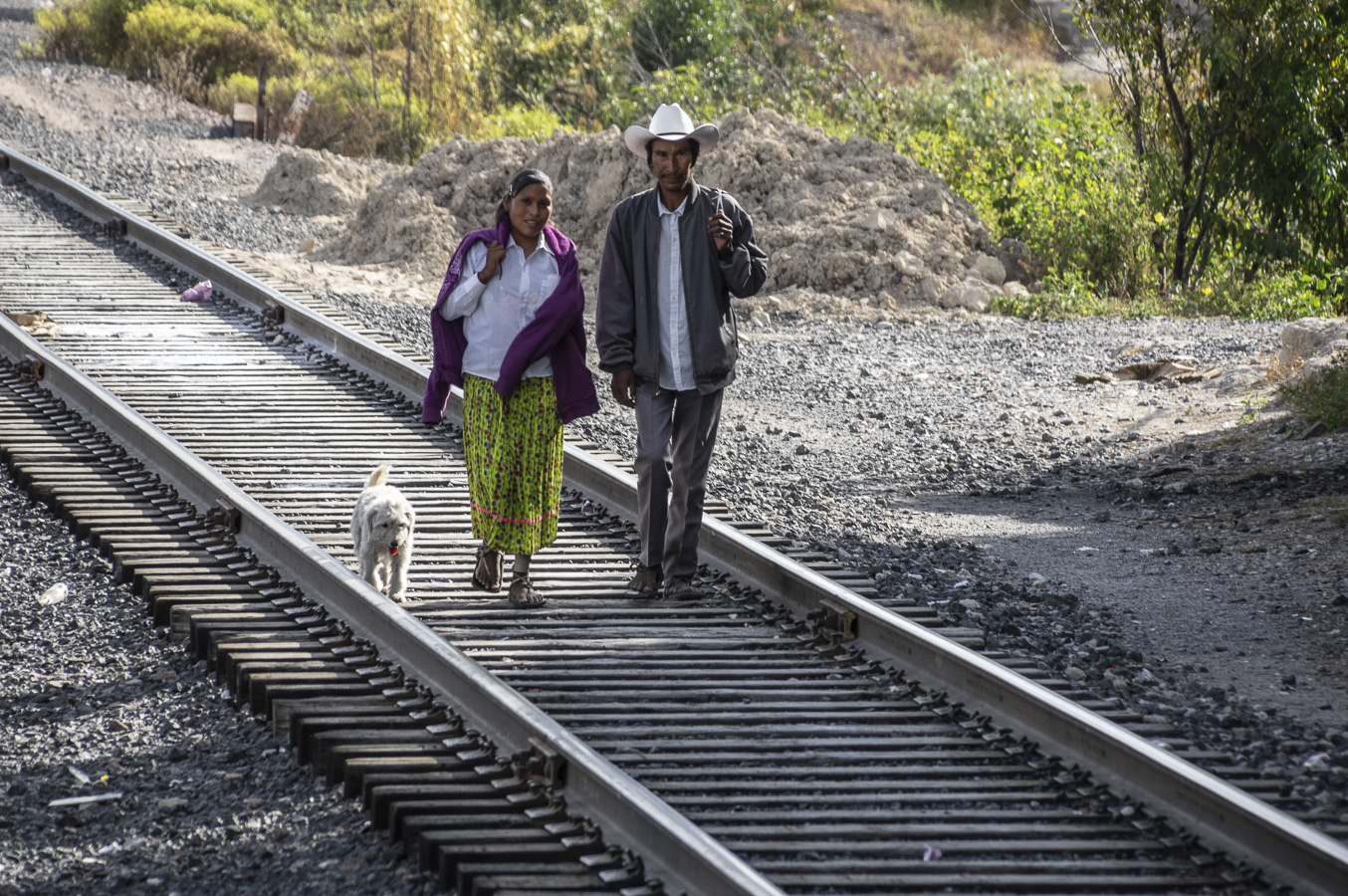 Walking the Dog, Bauchivo