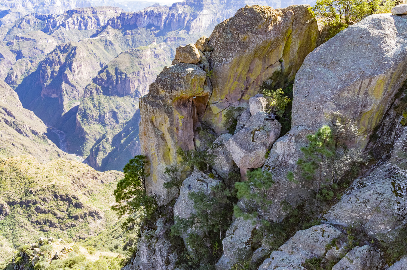 Copper Canyon from Divisadero