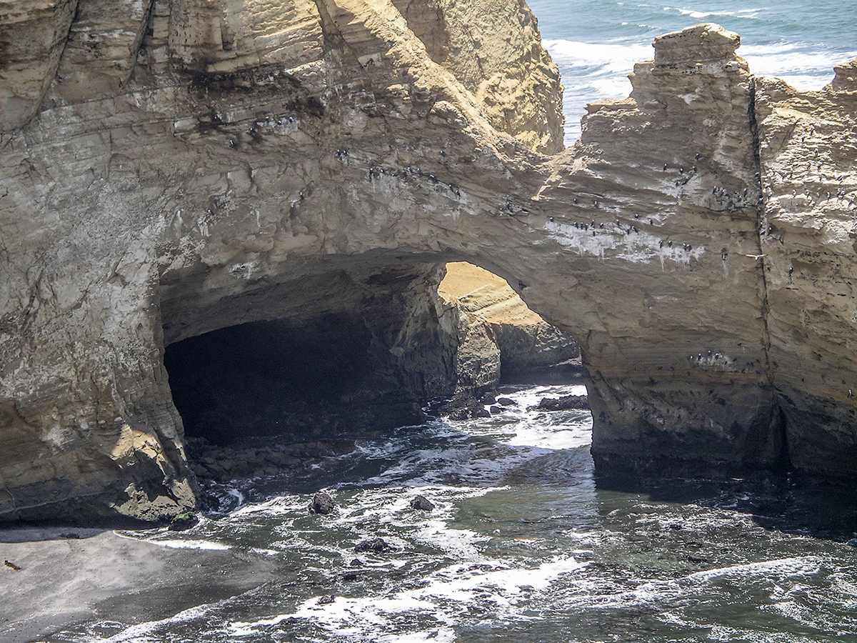 The Cathedral Arch - Paracas Reserve