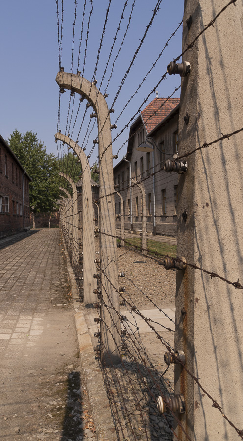 Electric Fence - Auschwitz