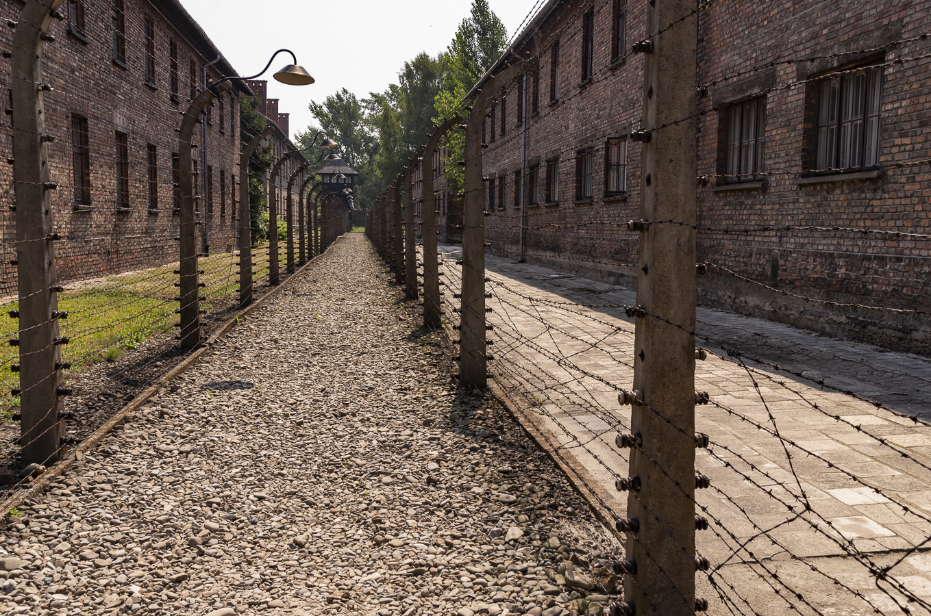 Electric Fence - Auschwitz