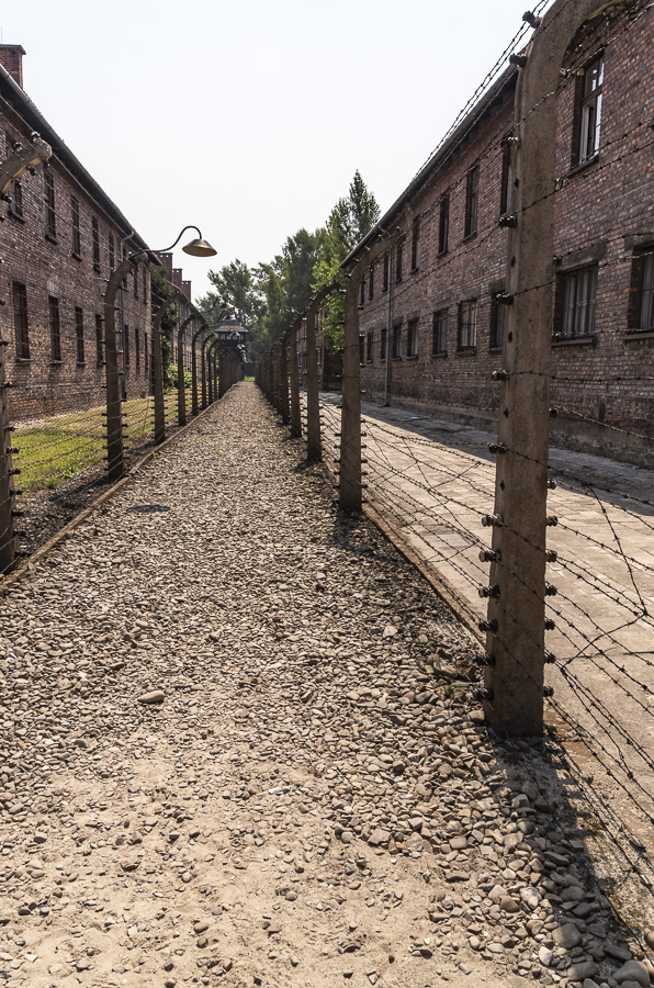 Electric Fence - Auschwitz