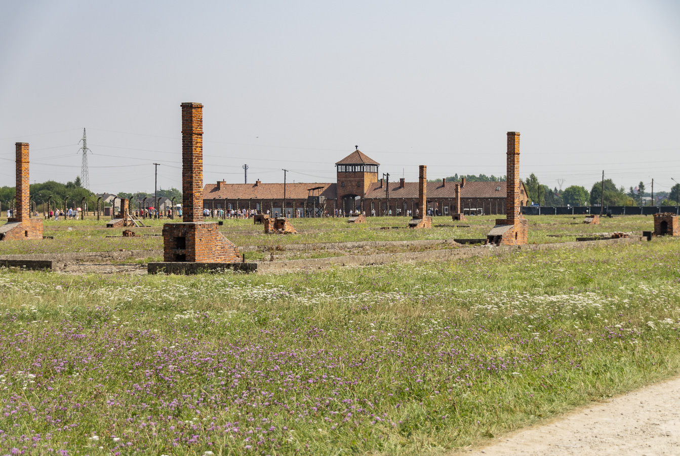 Hut Chimneys & HQ Building - Birkenau