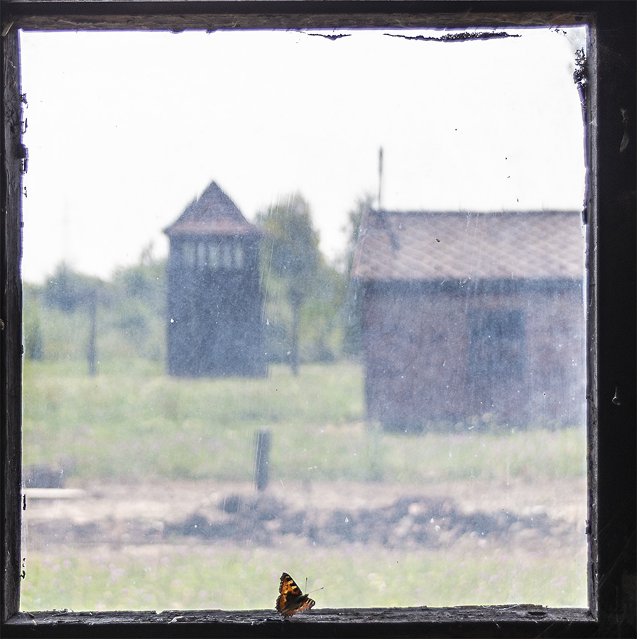 View from Prisoner Hut - Birkenau