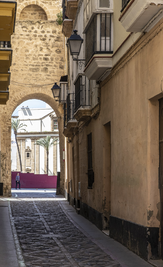 Cádiz Street near the Cathedral