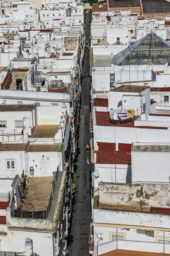 View over Cádiz from the Torre Mirador