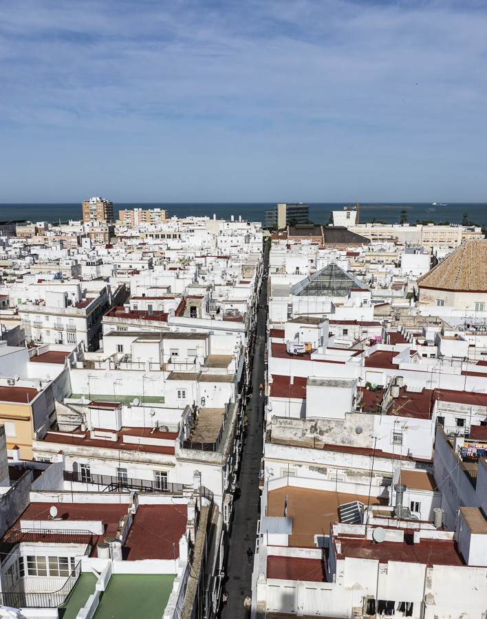 View over Cádiz from the Torre Mirador
