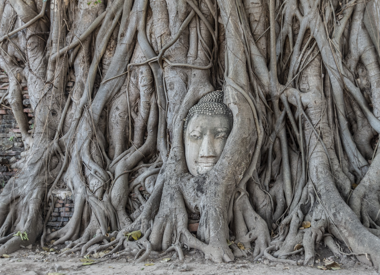 Wat Sangkhapat - Ayuthaya
