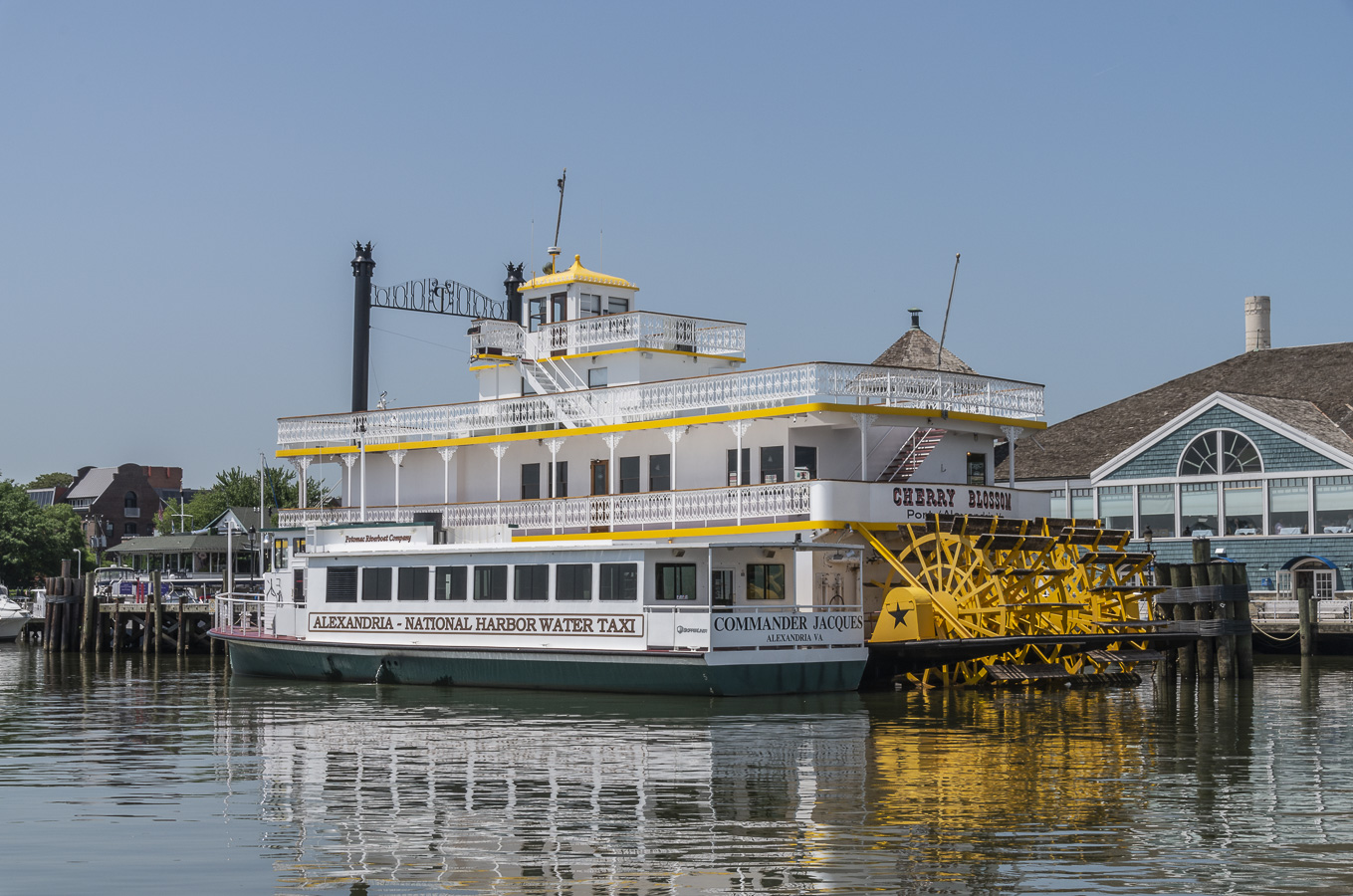 Paddle Steamer - Alexandria